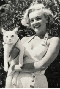 cat-lady-Marilyn-Monroe