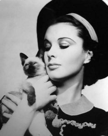 cat-lady-Vivien-Leigh