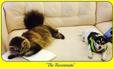 the_roommate