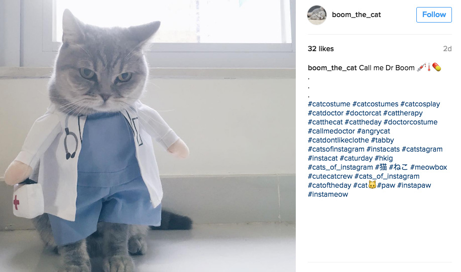 cat-doctor-costume