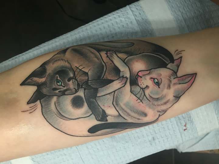 cat-tattoo-7
